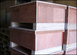 點擊放大(dà)查看